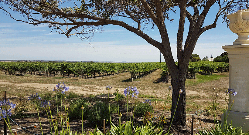 Angas Plains Estate Cellar Door